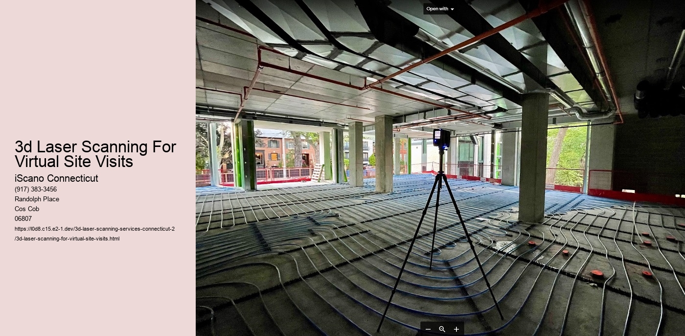 3d Laser Scanning For Virtual Site Visits